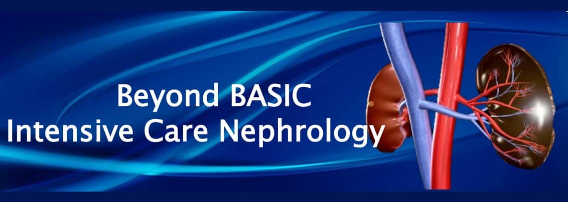 basic nephrology