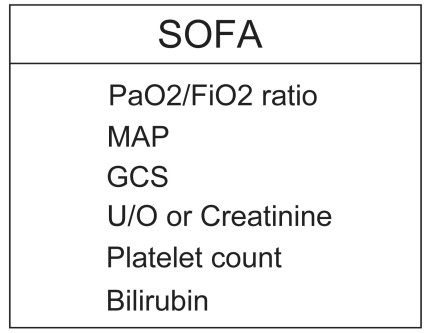 SOFA score components