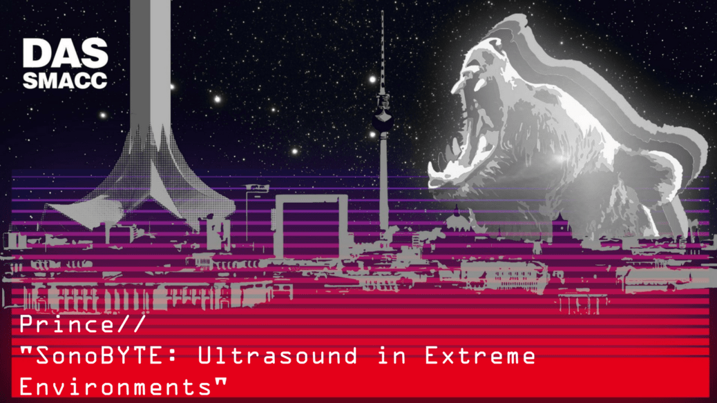 SonoBYTE: Ultrasound in Extreme Environments
