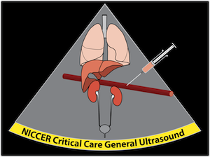 Nepean Critical Care General Ultrasound