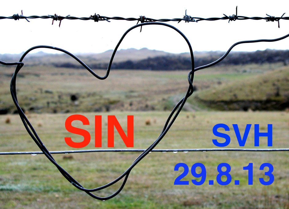 SIN Meeting: 29.8.13 at St Vincent's, Sydney