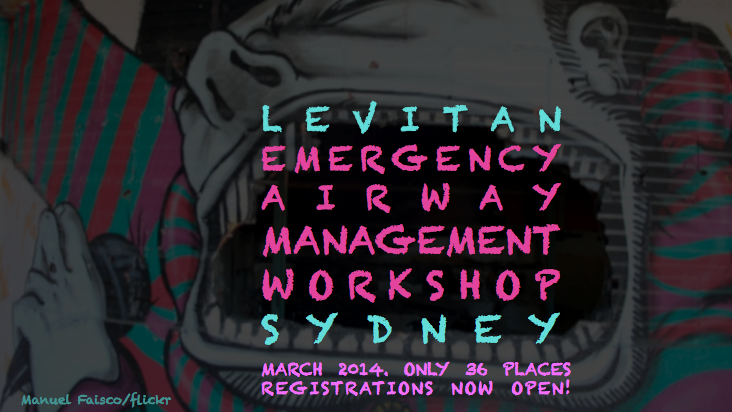 Levitan's Practical Emergency Airway Management Workshop 14'