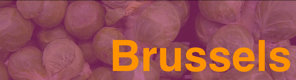 Brussels purple