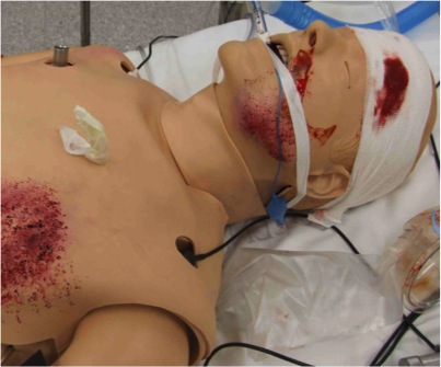 ICU Simulation - Can It Be Done On The Cheap?